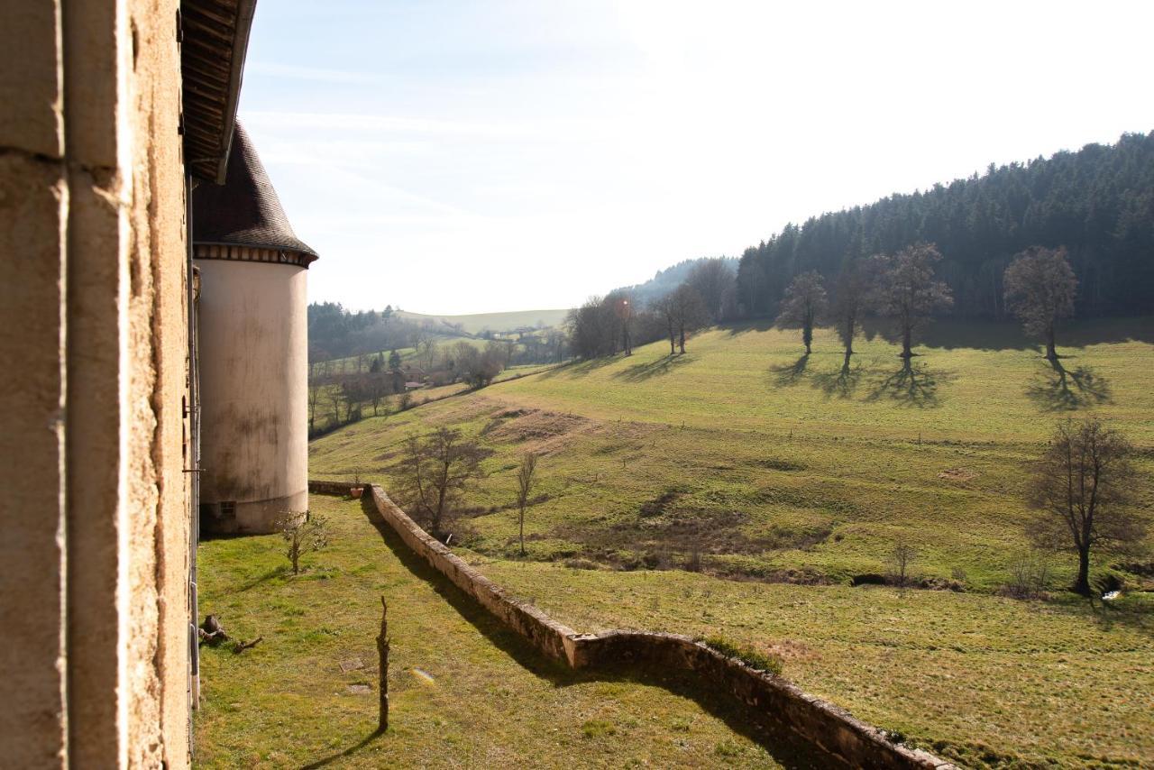 Chateau De Pramenoux Lamure-sur-Azergues Экстерьер фото