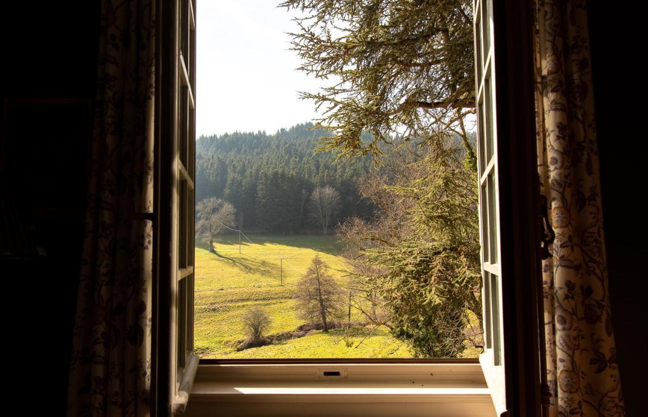 Chateau De Pramenoux Lamure-sur-Azergues Экстерьер фото